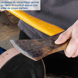 Affuteuse à eau equipée d'une meule de 250mm TIGER 2500 - SCHEPPACH 5903202901