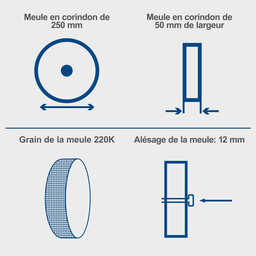 Affuteuse à eau equipée d'une meule de 250mm TIGER 2500 - SCHEPPACH 5903202901