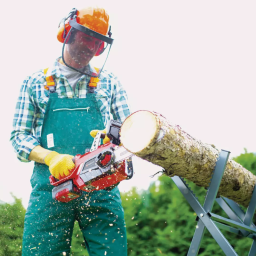 Tronçonneuse d’élagage 18V EINHELL 4501760