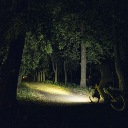 ARMYTEK F07901W