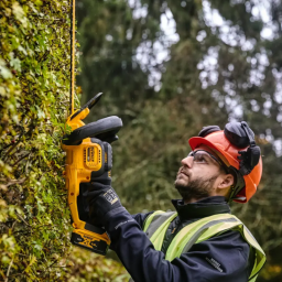 Taille-haies DEWALT